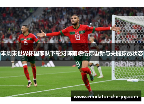 本周末世界杯国家队下轮对阵前瞻伤停更新与关键球员状态 本周末世界杯国家队下轮对阵前瞻伤停更新与关键球员状态